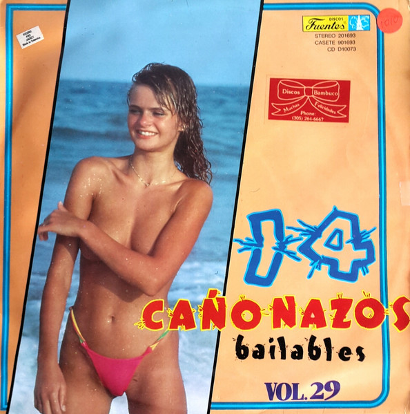 Various Artists — 14 Canonazos Bailables Vol. 29
