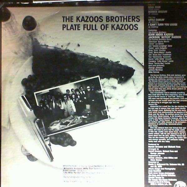 Kazoos Brothers — Plate full of kazoos