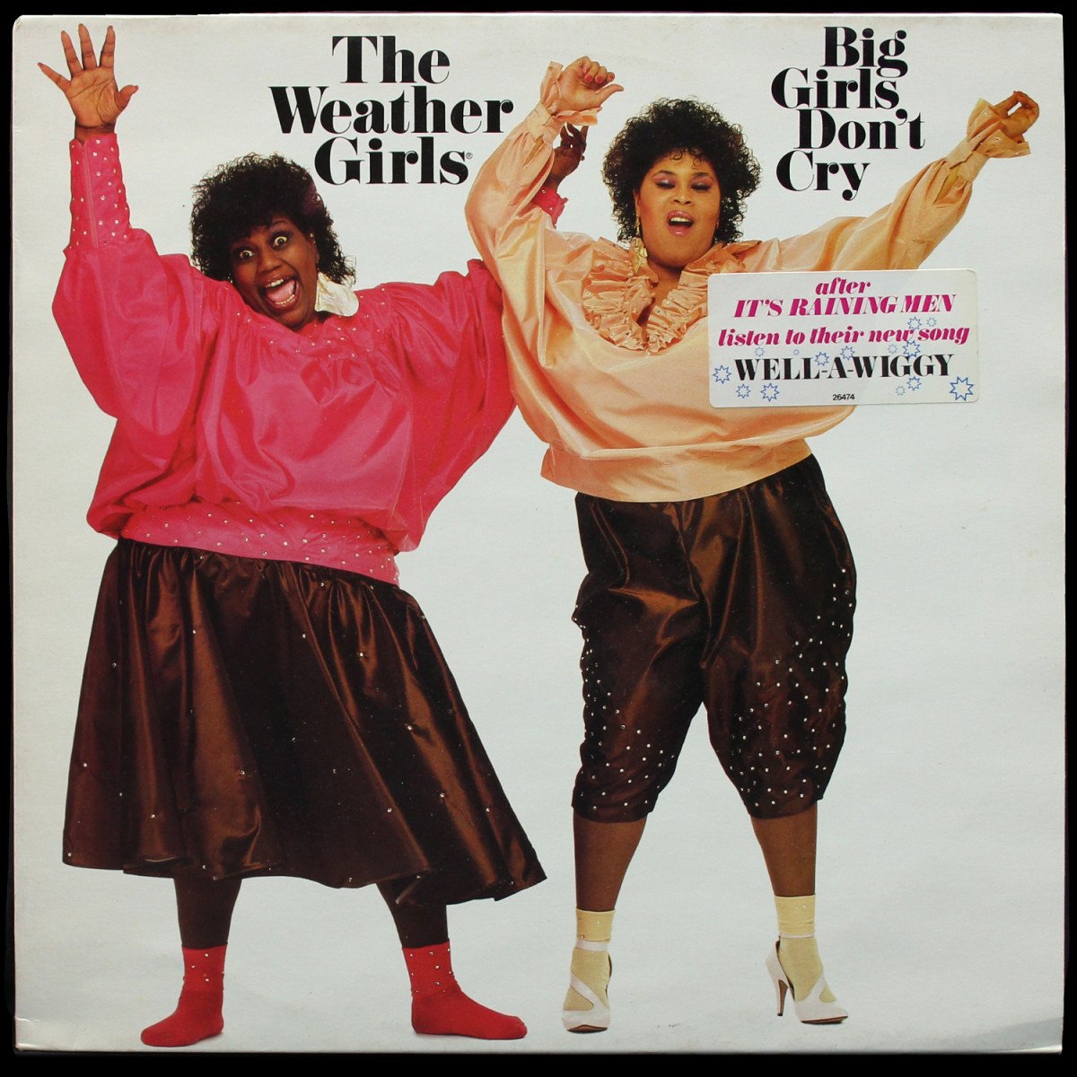 Weather Girls — Big Girls Don't Cry