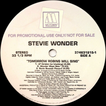 Wonder Stevie — Tomorrow Robins Will Sing