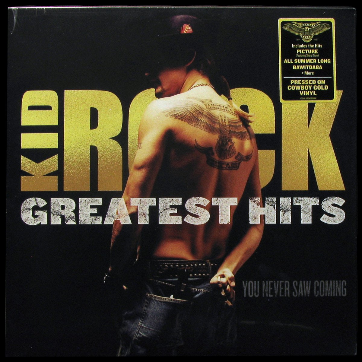 Kid Rock — Greatest Hits: You Never Saw Coming