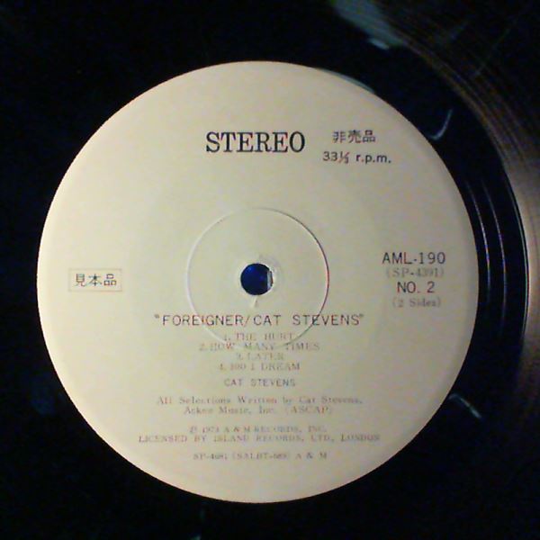 Stevens Cat — Foreigner