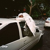 Blood Orange — Negro Swan