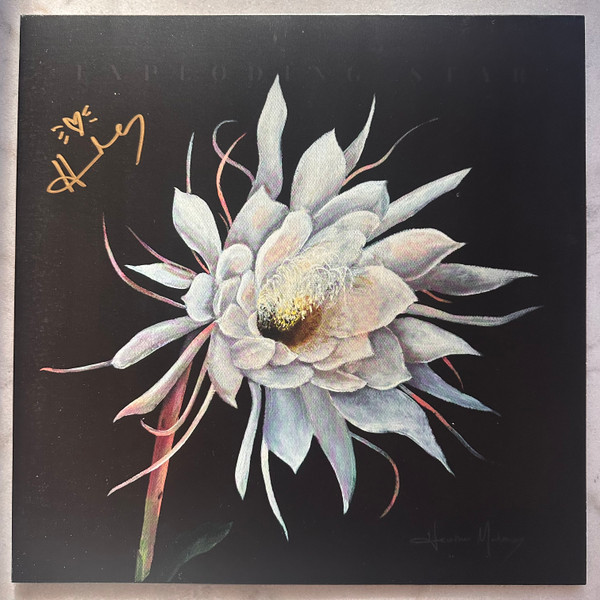 Heather Maloney — Exploding Star