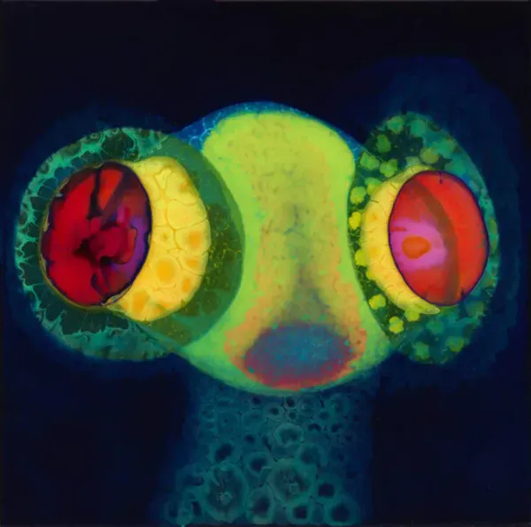 Osees — Sorcs 80 2024