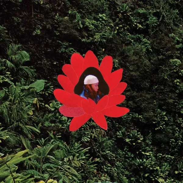 Lionmilk — When The Flowers Bloom 2025