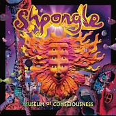 SHPONGLE — Museum Of Consciousness
