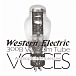 Various Artists — 300B Vacuum Tubes Voices