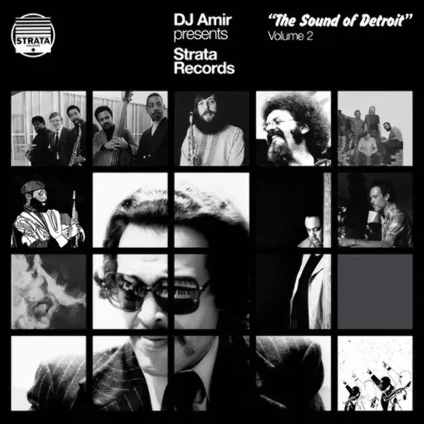 DJ Amir — DJ Amir Presents Strata Records: The Sound Of Detroit Vol. 2