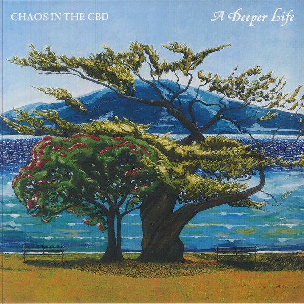 Chaos In The CBD — A Deeper Life