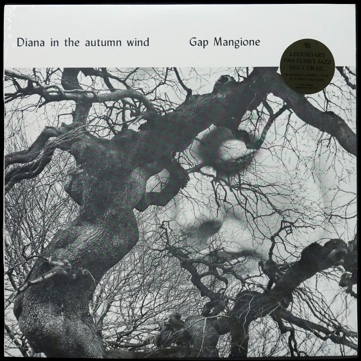 Gap Mangione — Diana In The Autumn Wind