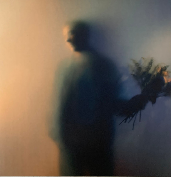 Ben Bohmer — Bloom