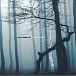 Trentemoller — The Last Resort