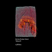 Eko & Vinda Folio — Therapy