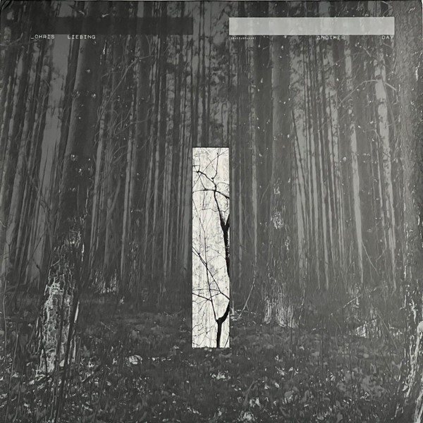 Chris Liebing — Another Day