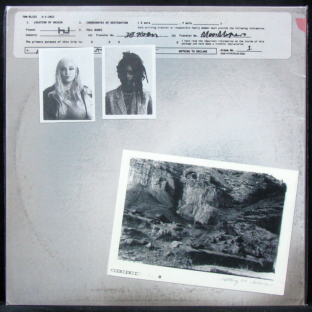 700 Bliss — Nothing To Declare