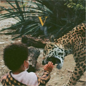 Unknown Mortal Orchestra — V