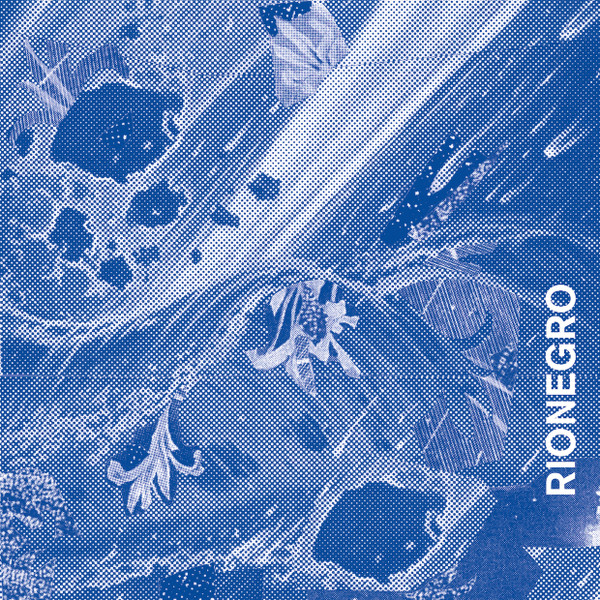 Rionegro — Rionegro