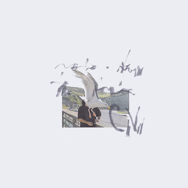 Ciro Vitiello — notes from the air