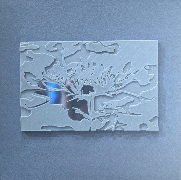 Ignez — SMV011