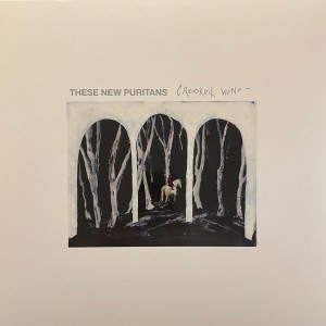These New Puritans — Crooked Wing