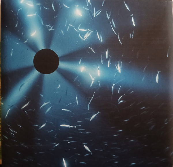 Laurel Halo — Midnight Zone (Original Soundtrack To The Film By Julian Charrière)