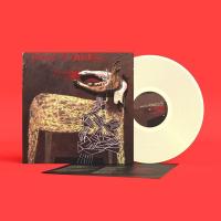 Alan Sparhawk — With Trampled By Turtles
