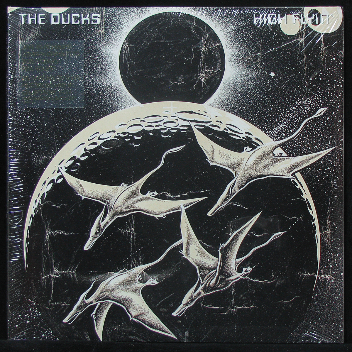 Ducks — High Flyin'