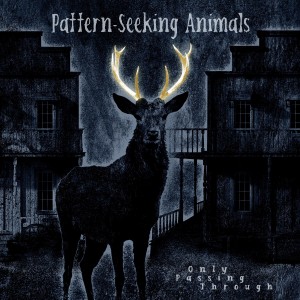 Pattern-Seeking Animals — Only Passing Through