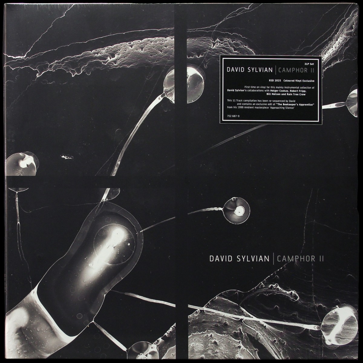 David Sylvian — Camphor II