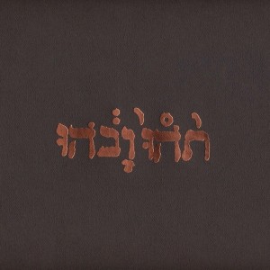 Godspeed You! Black Emperor — Slow Riot for New Zero