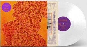 Nubiyan Twist — Find Your Flame