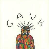 Vundabar — Gawk - ecomix vinyl