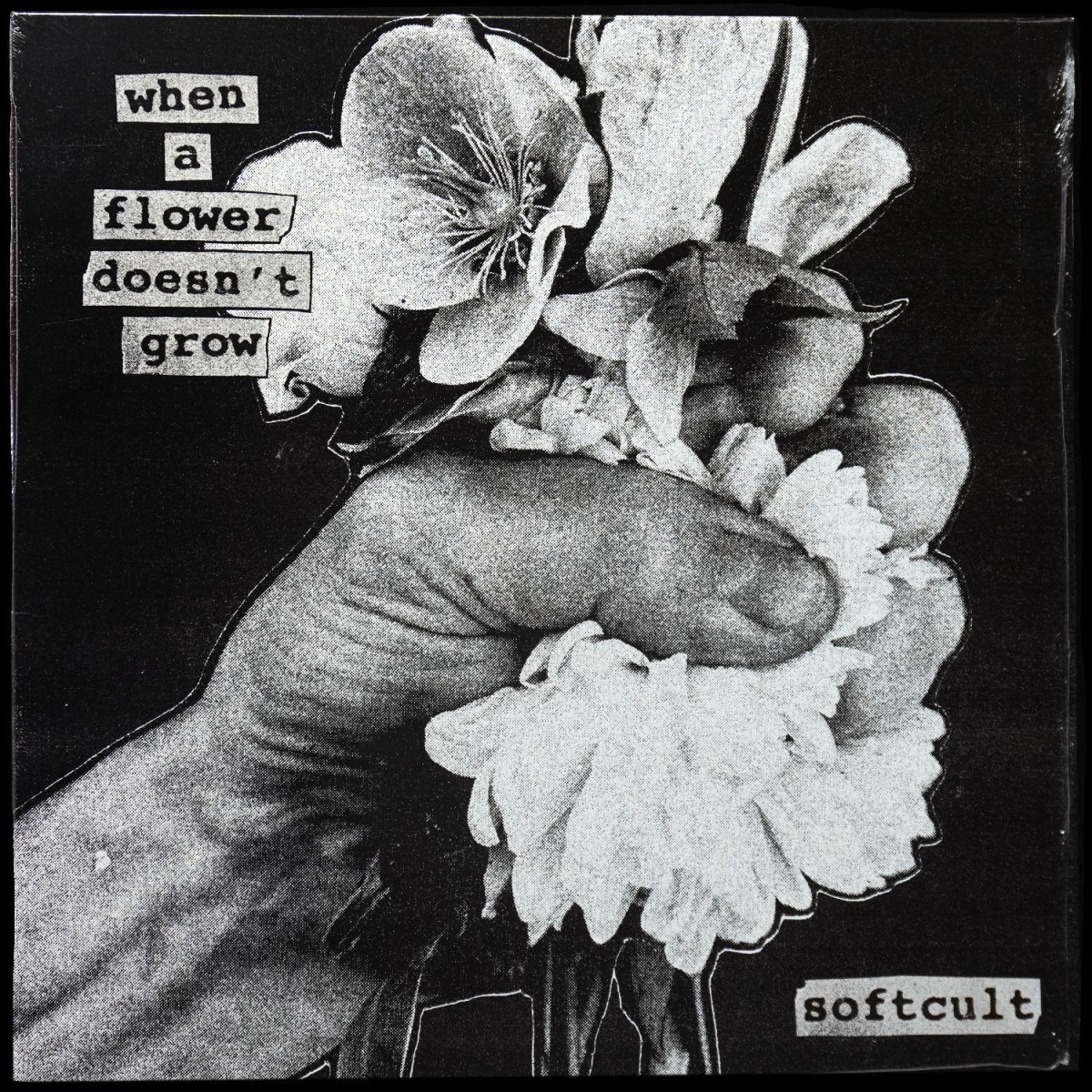 Softcult — When A Flower Doesn't Grow