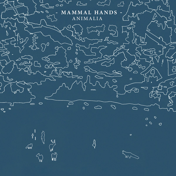MAMMAL HANDS — ANIMALIA