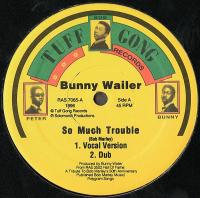 Bunny Wailer — So much trouble