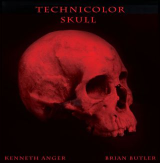 Technicolor Skull — Technicolor Skull