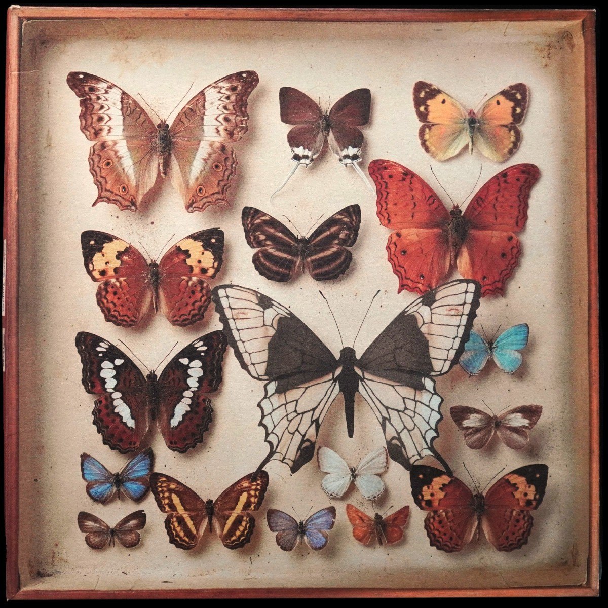 Emiliana Torrini — Rarities (4LP-бокс)
