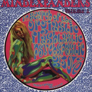 Various — In Search Of The Orgiastic Flashtastic Psychspastic Groove
