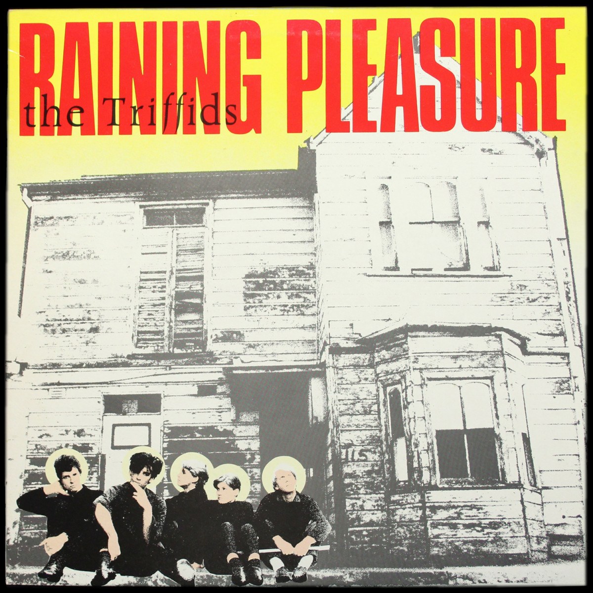 Triffids — Raining Pleasure (макси сингл)