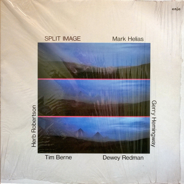 Mark Helias / Herb Robertson / Gerry Hemingway / Dewey Redman / Tim Berne — Split Image