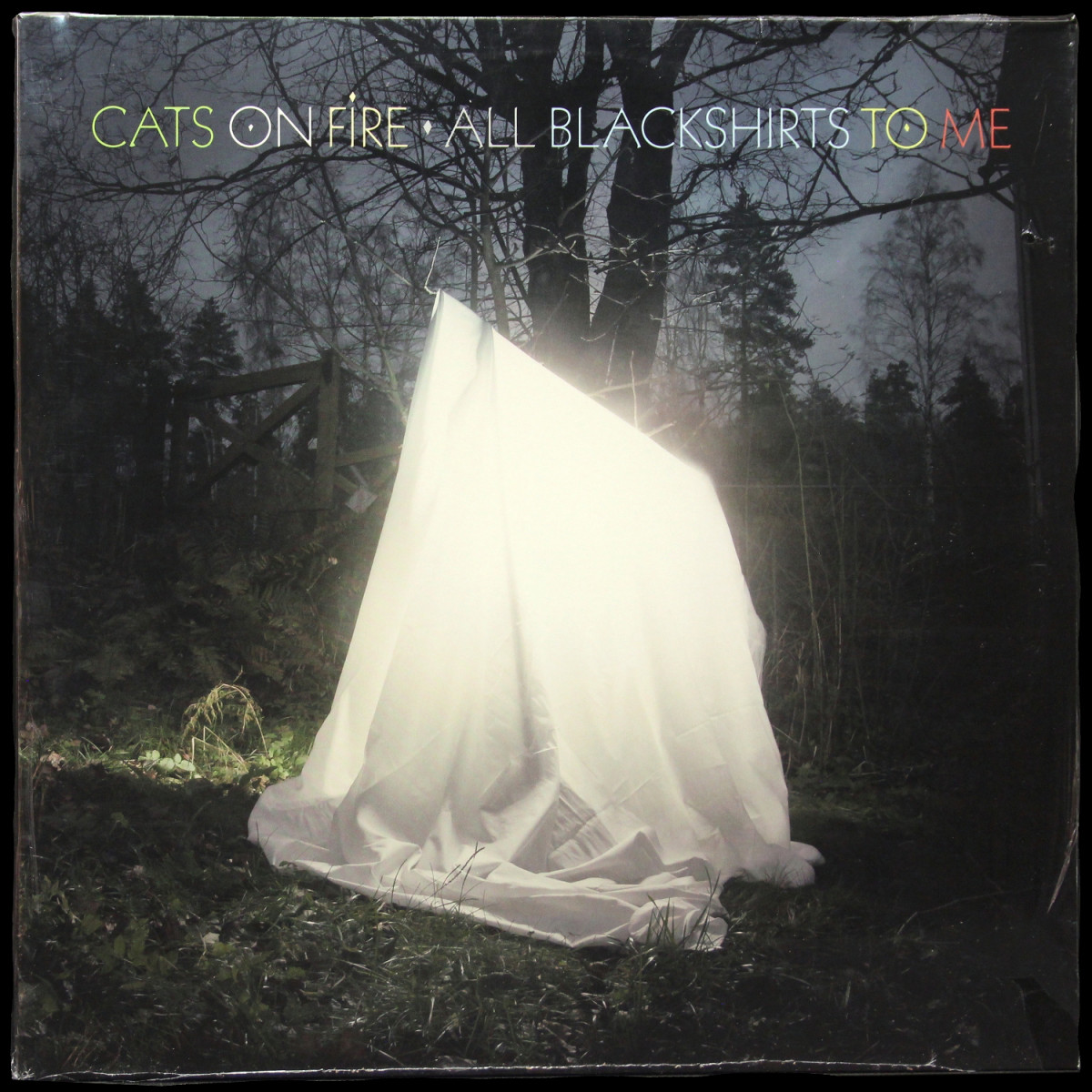 Cats On Fire — All Blackshirts To Me
