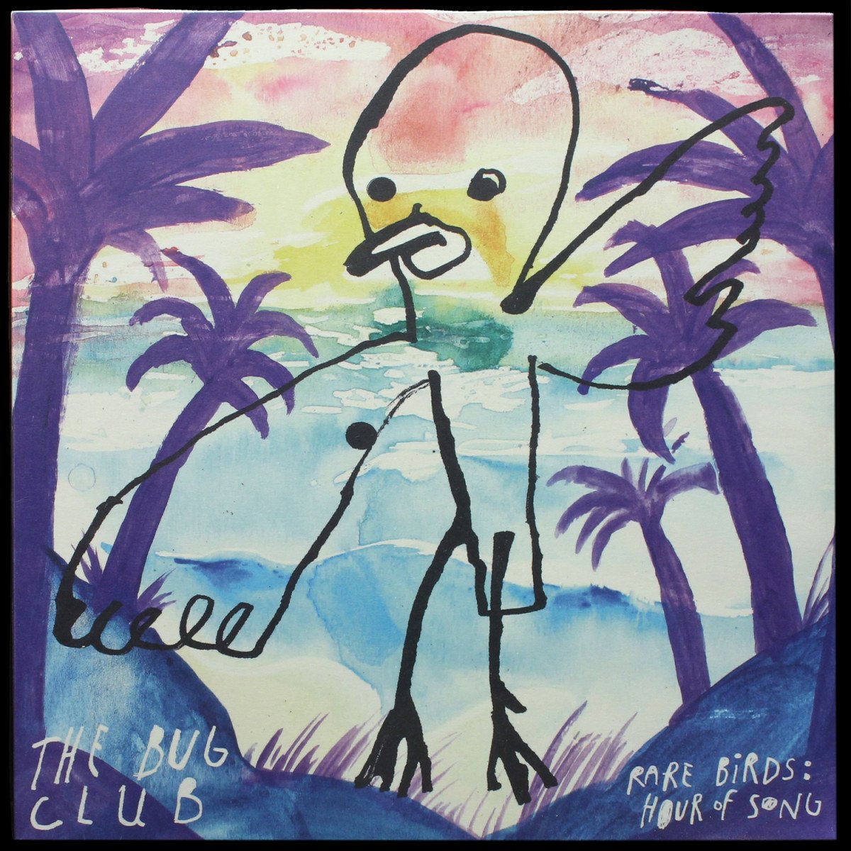 Bug Club — Rare Birds: Hour of Song