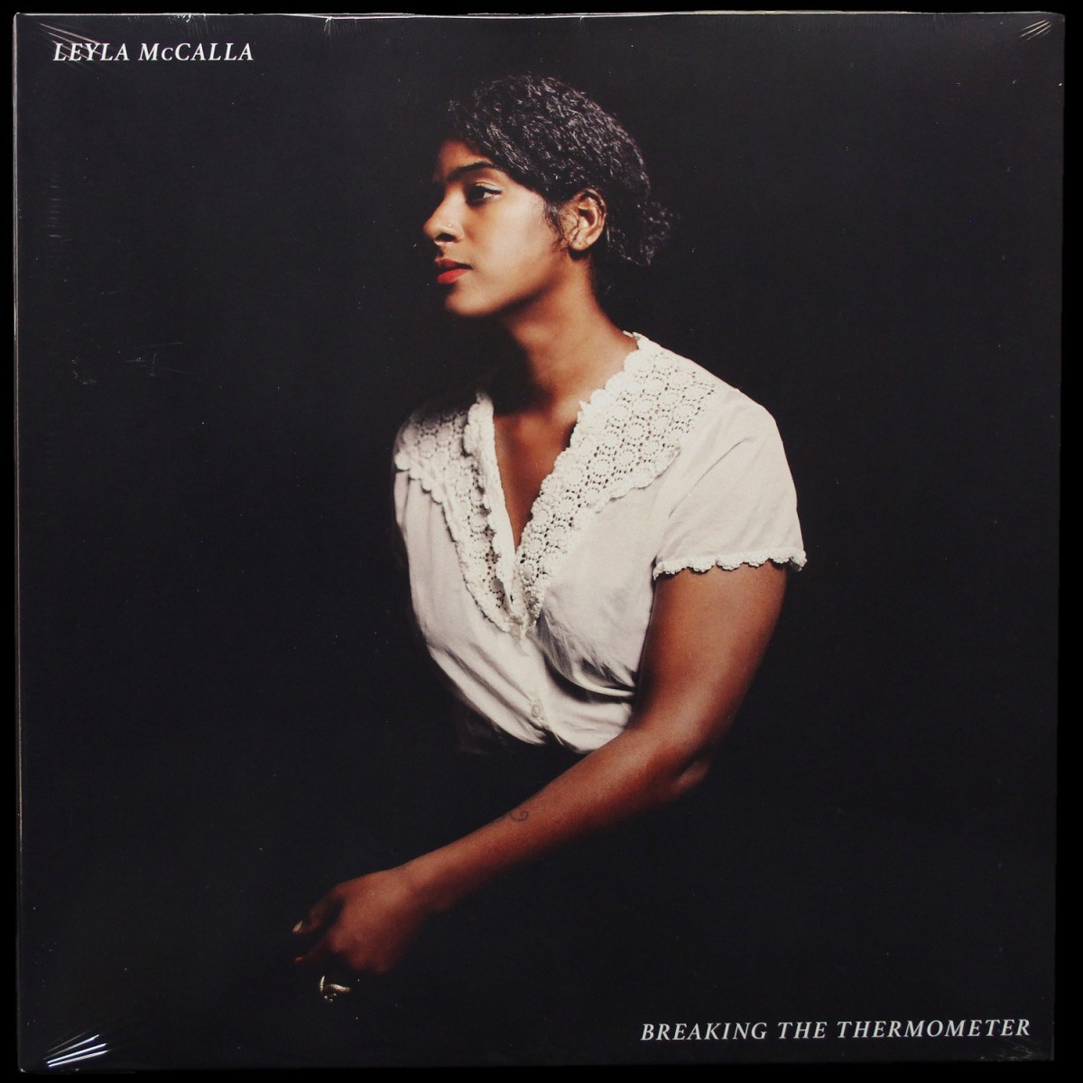 Leyla Mccalla — Breaking The Thermometer