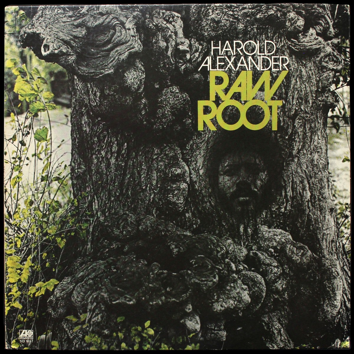 Harold Alexander — Raw Root