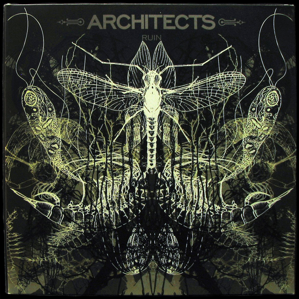 Architects — Ruin