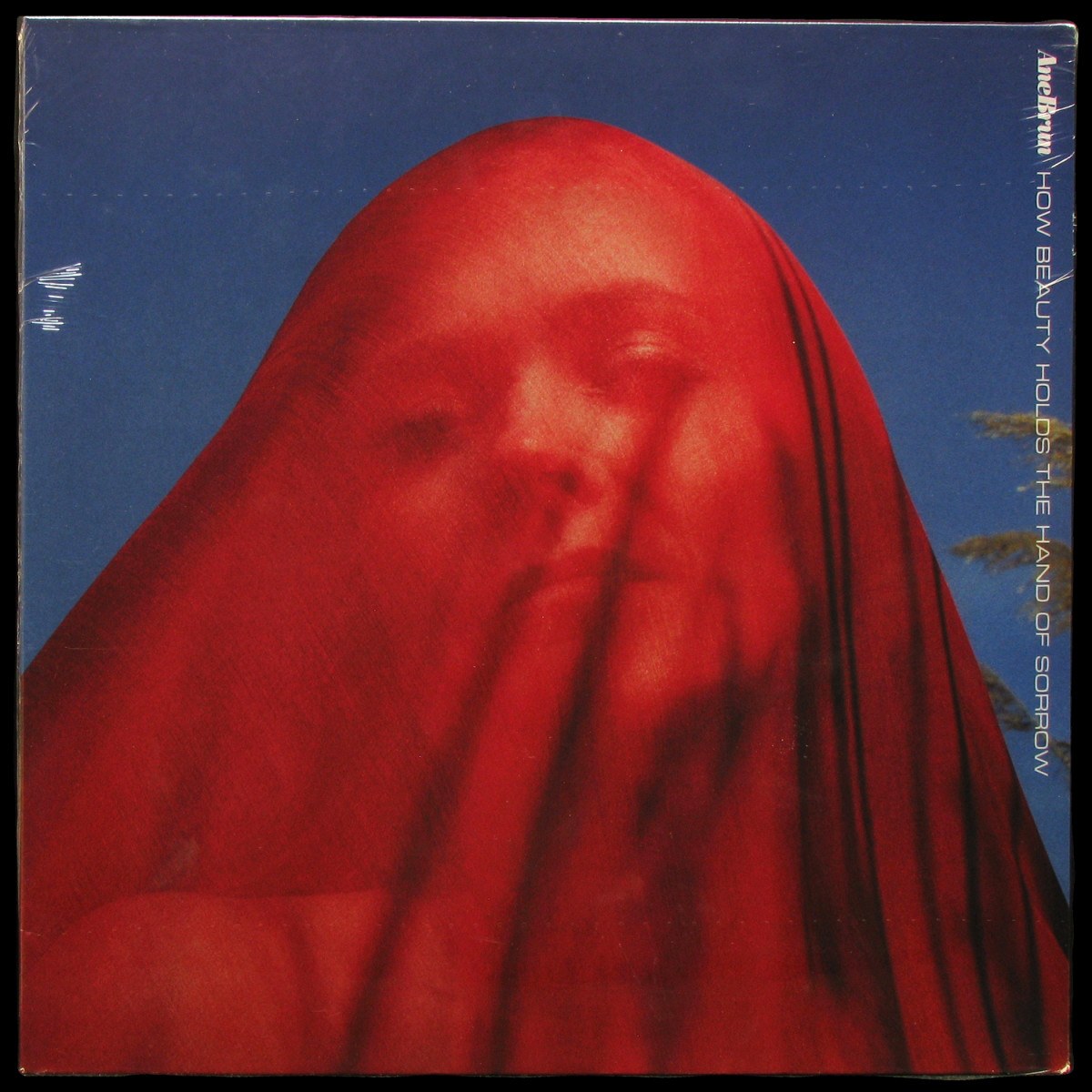 Ane Brun — How Beauty Holds The Hand Of Sorrow