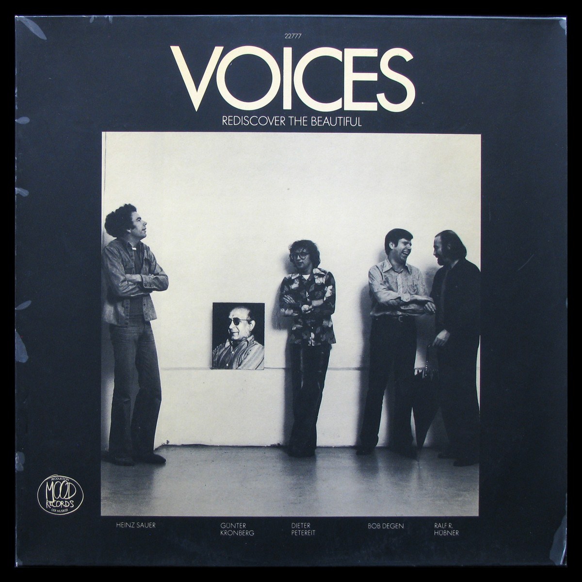 Voices — Rediscover The Beautiful