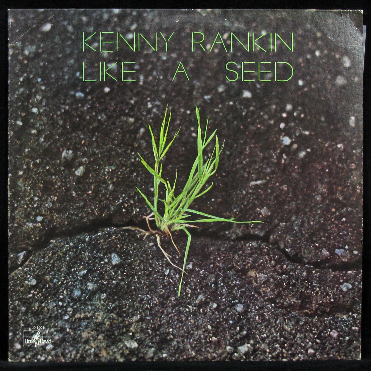 Kenny Rankin — Like A Seed