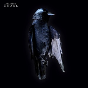Rico Friebe — Shook